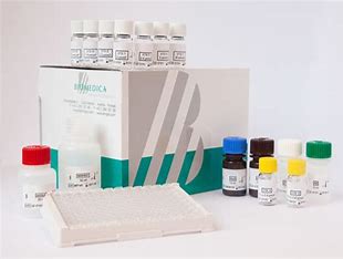 Endostatin ELISA 内皮抑制素ELISA试剂盒