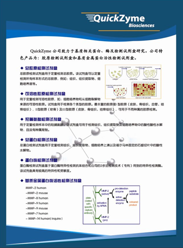 Quickzyme 胶原、基质金属蛋白酶试剂盒