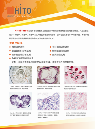 Hitobiotec神经组织染色试剂盒