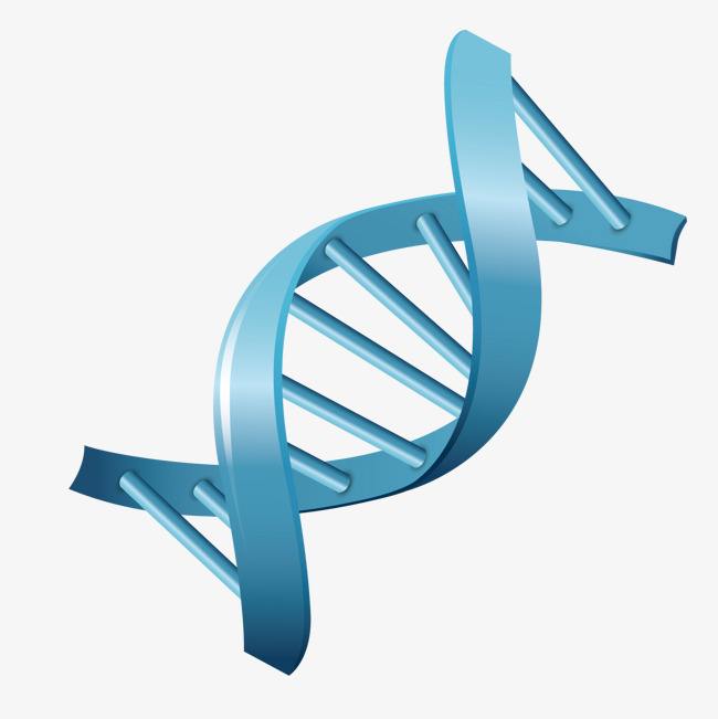 著名免疫学家发现一种至少可以追溯到30亿年前的多功能DNA因子