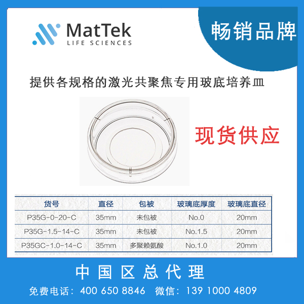 P35G-0-20-C35 mm Dish No 0 Coverslip 20 mm Glass Diameter Uncoated