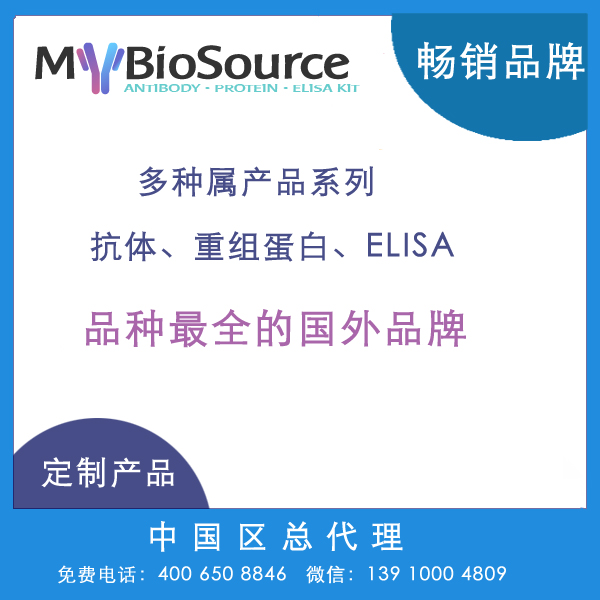 Porcine Immunoglobulin A, IgA ELISA Kit