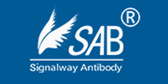 Signalway Antibody LLC(SAB)