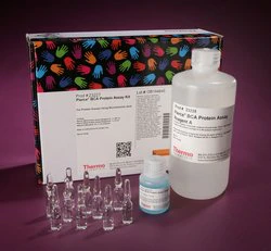 BCA蛋白测定试剂盒