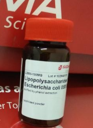 Lipopolysaccharides from Escherichia coli 055:B5,LPS 脂多糖