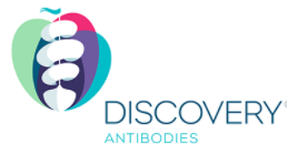 Discovery® Antibodies（CRB）中国代理博蕾德生物-药物研究抗体领导者