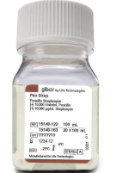 Penicillin-Streptomycin 青链霉素双抗