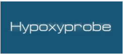Hypoxyprobe 缺氧探针常见问题解答