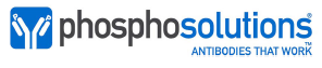 PhosphoSolutions 授权书