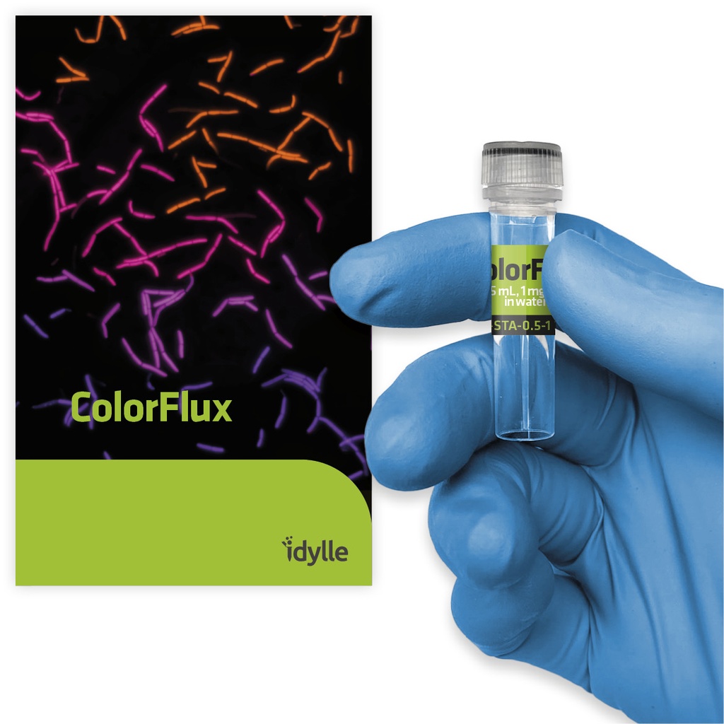 ColorFlux - A visual indicator of bacterial efflux 细菌外排指示剂