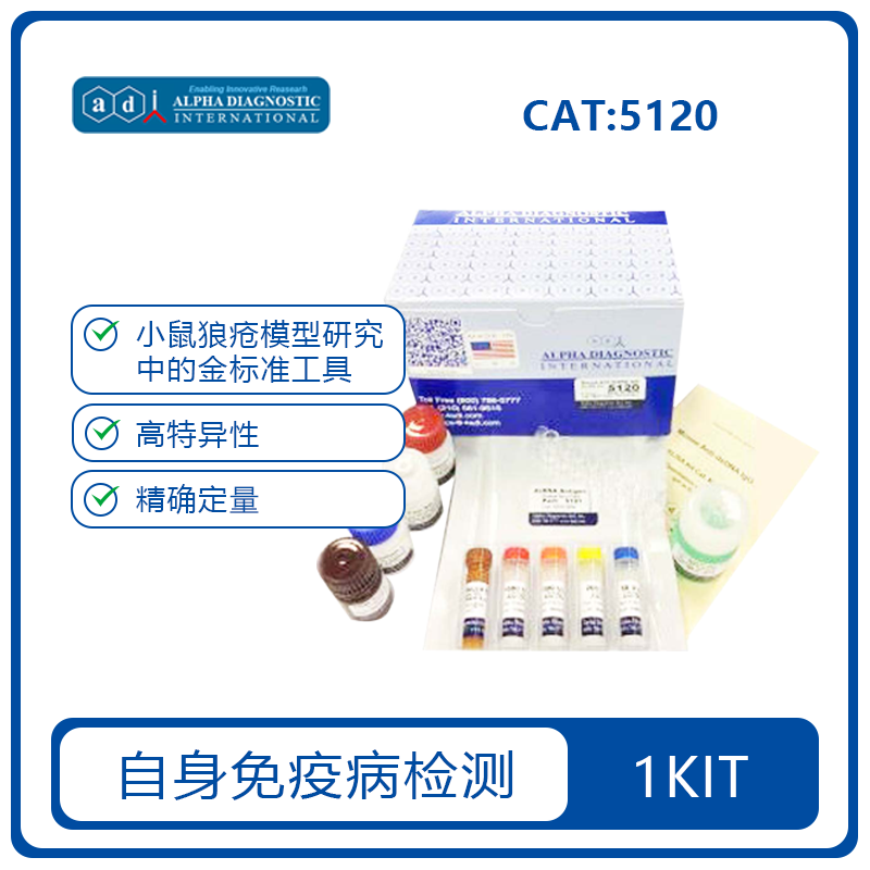 小鼠抗双链DNA IgG 抗体检测试剂盒