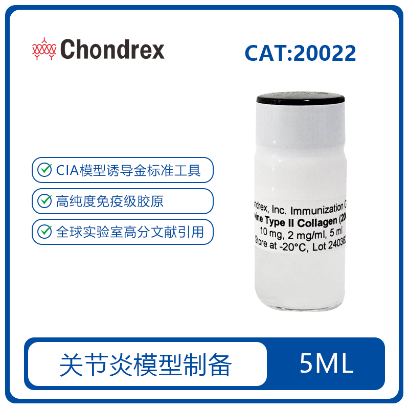 牛II型胶原 Bovine Type II collagen