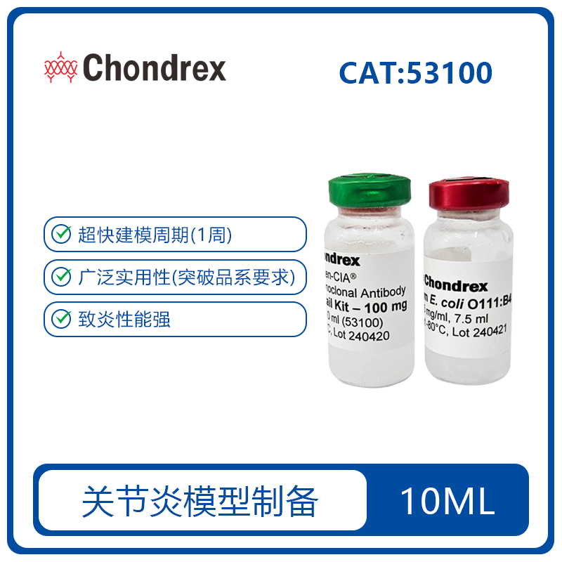 五克隆合剂 CAIA 关节炎模型诱导