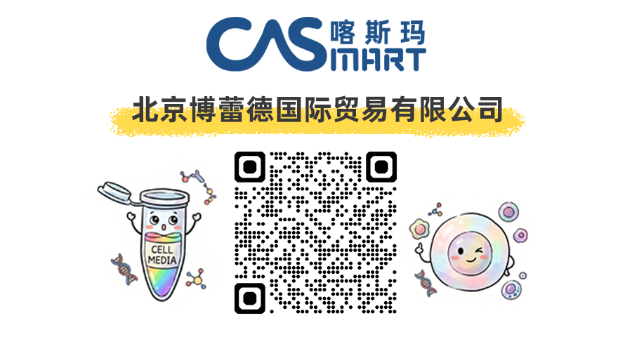 喀斯玛：博蕾德店铺