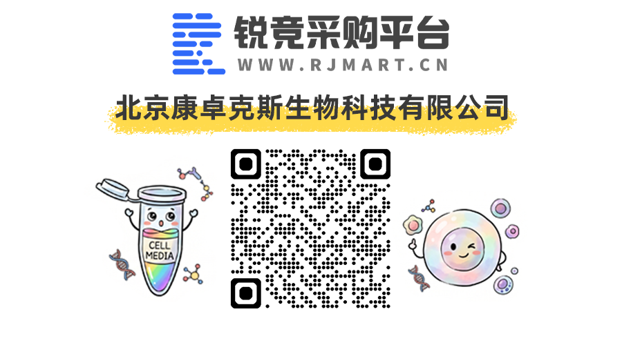 锐竞：康卓克斯店铺