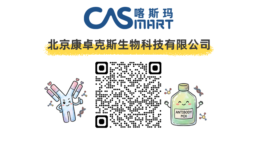 喀斯玛：康卓克斯店铺