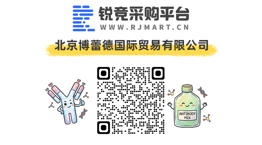 锐竞：博蕾德店铺