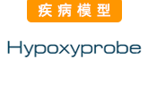 Hypoxyprobe