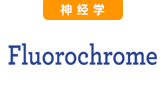 Fluorochrome