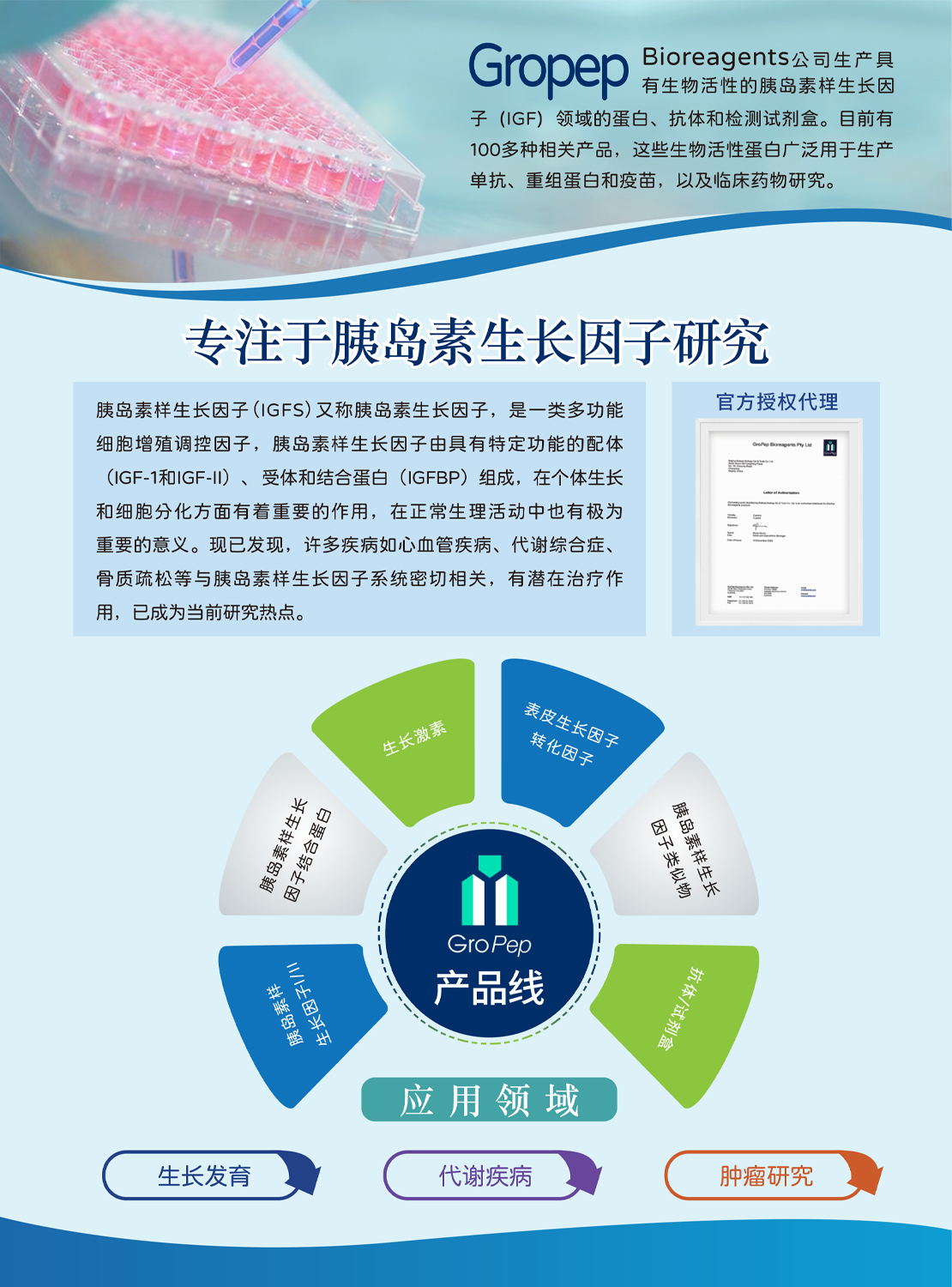 Gropep：胰岛素生长因子研究