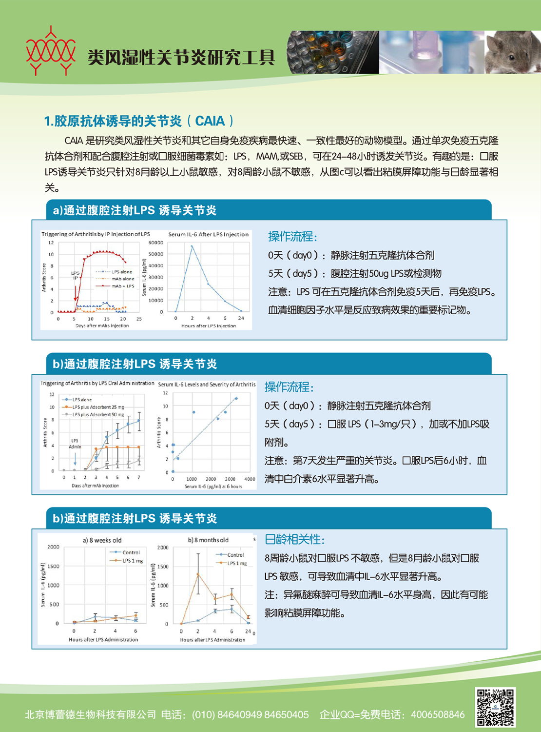 Chondrex：类风湿性关节炎研究工具