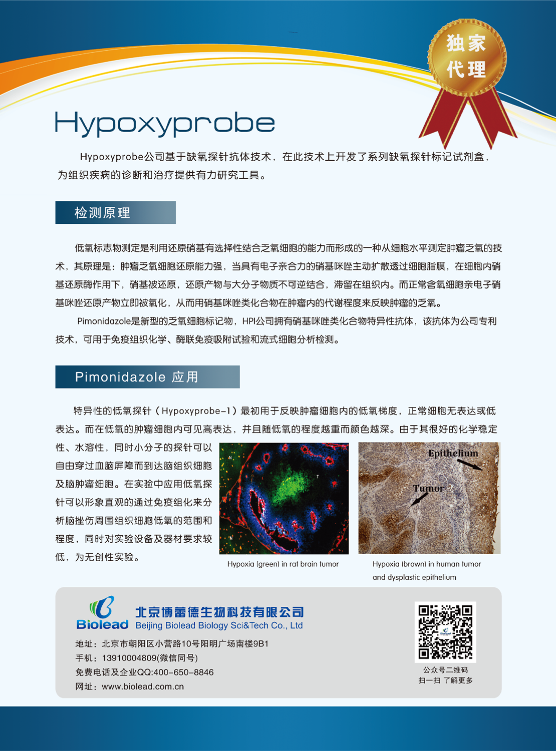Hypoxyprobe：缺氧探针试剂盒