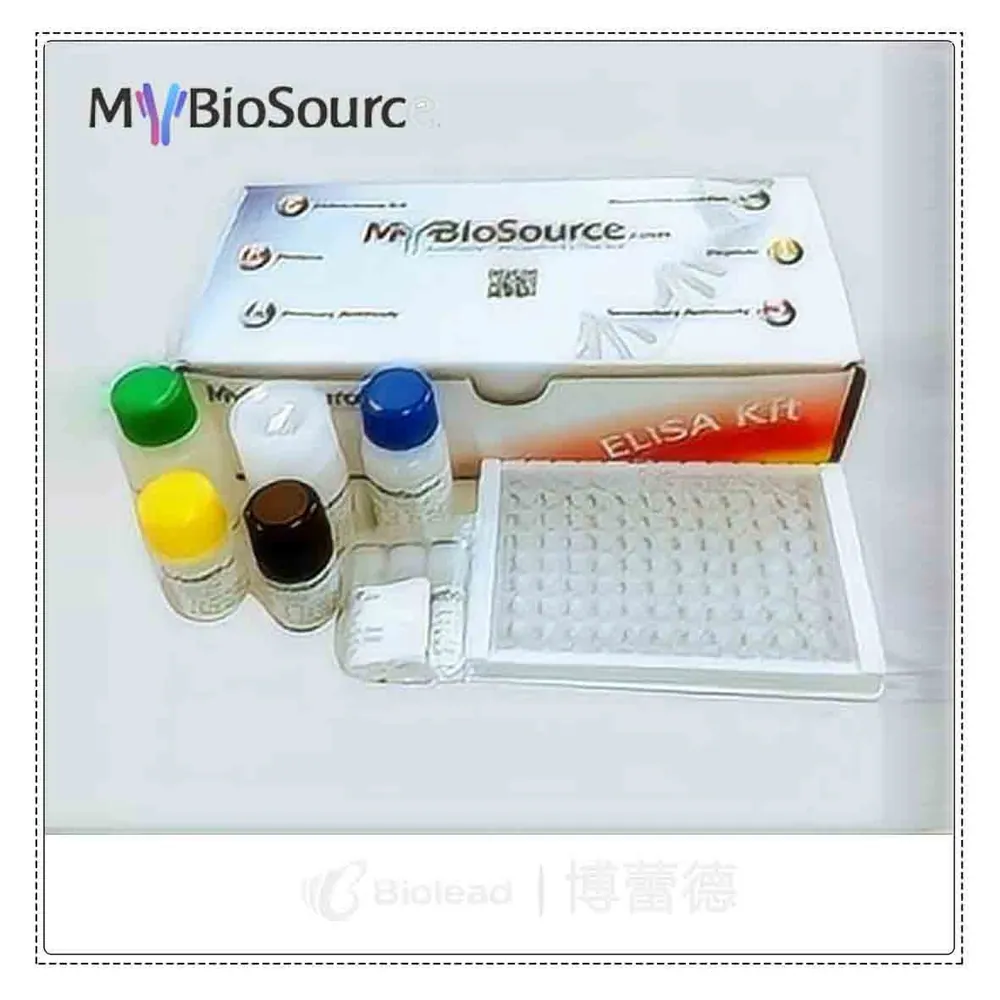 Mybiosource MBS531862 产品图片