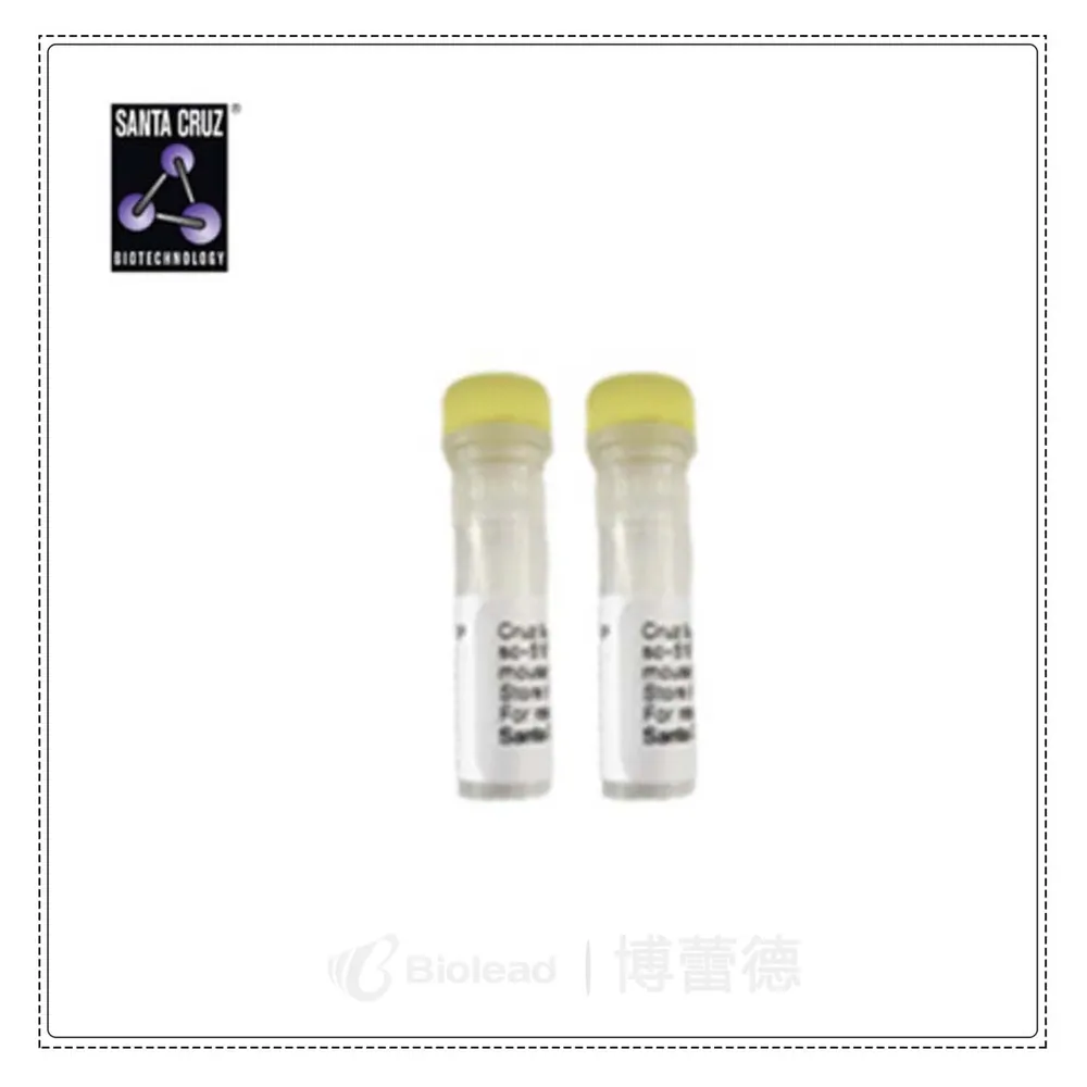 Santa Cruz sc-74555 产品图片